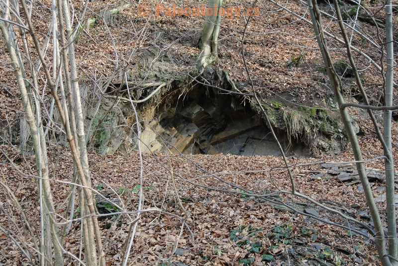 Bobrovníky-KravíDůl-12-2013-0014