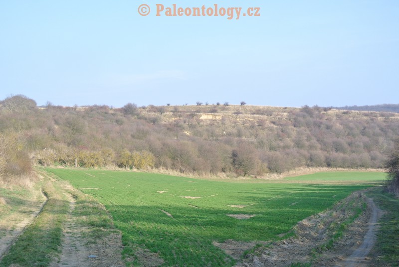 Mikulov-Kienberg-08-03-2014-0001