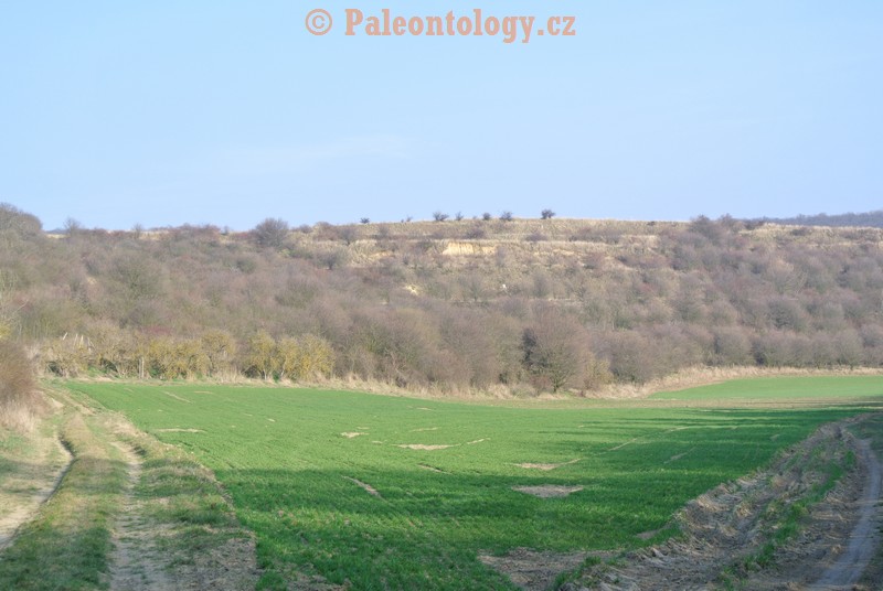 Mikulov-Kienberg-08-03-2014-0002