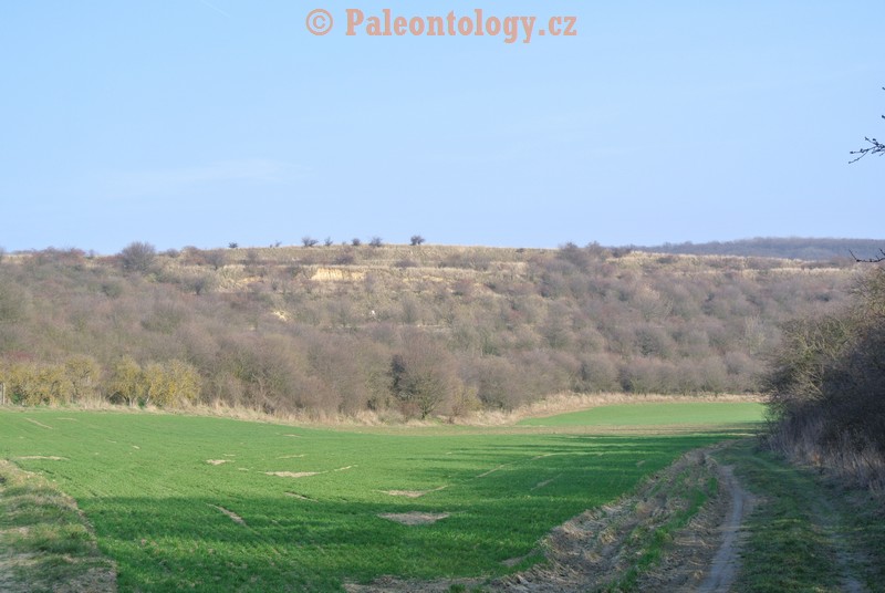 Mikulov-Kienberg-08-03-2014-0003